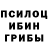 Галлюциногенные грибы прущие грибы Dana V.