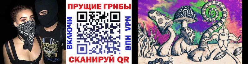 купить  цена  Краснообск  Псилоцибиновые грибы Psilocybe 